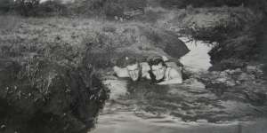 Sinclair and Gertie enjoying a dip after the rain.